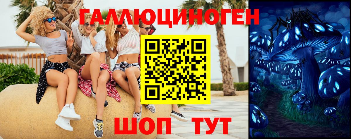 Псилоцибиновые грибы ЛСД Елабуга
