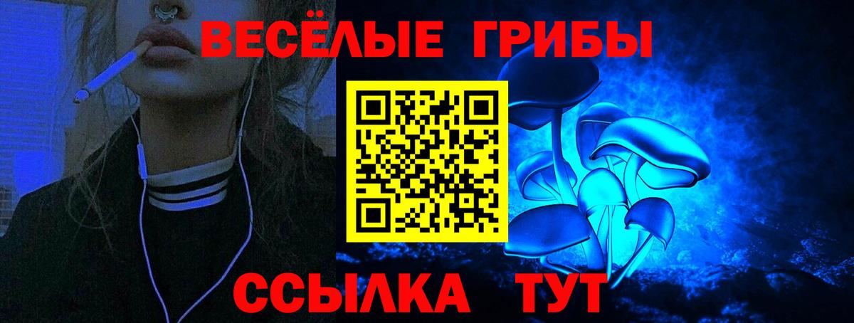 Галлюциногенные грибы Magic Shrooms  Вход с VPN  Елабуга 